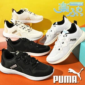  v[} fB[X Xj[J[ SnQ ӂӂC\[ PUMA SOFTRIDE oC^ MU [Jbg V[Y C 2025H~VF 312002