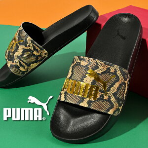  wr v[} fB[X T_ PUMA [hLbg2.0 Xl[NVbN ֕ X|[cT_ XCh V[T_ X|[c T_ V[Y C W v[ C 