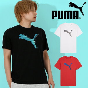䂤pPbgΉ\Iv[} Y fB[X  TVc PUMA GRAPHICS Lbg S TVc rbOS X|[cEFA g[jO EFA W 2025tĐV 687674