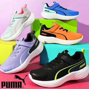  v[} LbY  Xj[J[ q[3cm PUMA Xs[h X^[ Z q WjA qC j̎q ̎q ^C xN SR V[Y 309935