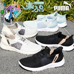  qE v[} fB[X Xj[J[ SnQ ӂӂC\[ PUMA SOFTRIDE REMI EASE IN I W [Jbg V[Y C 2025tĐV 312000