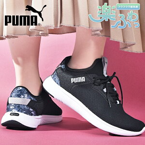  v[} fB[X Xj[J[ SnQ ӂӂC\[ PUMA SOFTRIDE oC^ 2 tF GR [Jbg V[Y C 2025H~V 312812