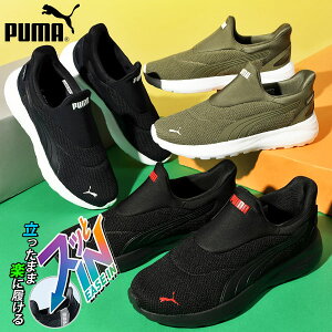 ܂܃XbƗ  v[} Y fB[X Xb| Xj[J[ SnQ ӂӂC\[ PUMA SOFTRIDE RX~bN EASE IN C[YC [Jbg V[Y C R
