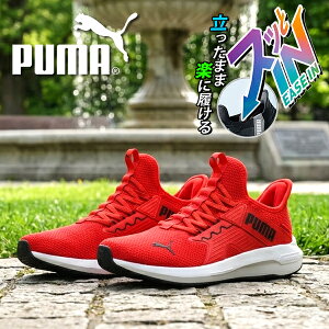 �������܂܃X�b�Ɨ����� �������� �v�[�} �����Y �X�j�[�J�[ �����S�n���Q �ӂ�ӂ�C���\�[�� PUMA SOFTRIDE �G���] 5 EASE IN �C�[�Y�C�� ���[�J�b�g �V���[�Y �C ���b�h �� 2026�t�ĐV�� 312581