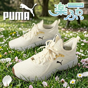 2026�t�ĐV�� �������� �q���E�� �v�[�} ���f�B�[�X �X�j�[�J�[ �����S�n���Q �ӂ�ӂ�C���\�[�� PUMA SOFTRIDE �J���} �A�j�}�� �E�B�����Y ���[�J�b�g �V���[�Y �C 313321