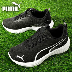 2026�t�ĐV�� �������� �v�[�} �L�b�Y �X�j�[�J�[ PUMA �X�s�[�h �����X�^�[ V5 PL GR �q�� �W���j�A �q���C �j�̎q ���̎q �^���C �V���[�Y �C 313959