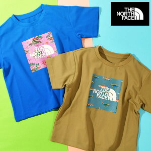 lR|XI p m[XtFCX bV TVc LbY q UV  y Xgb` THE NORTH FACE TVF[h OtBbN eB[ T S/S Sunshade Graphic Tee ntt12560 2025t