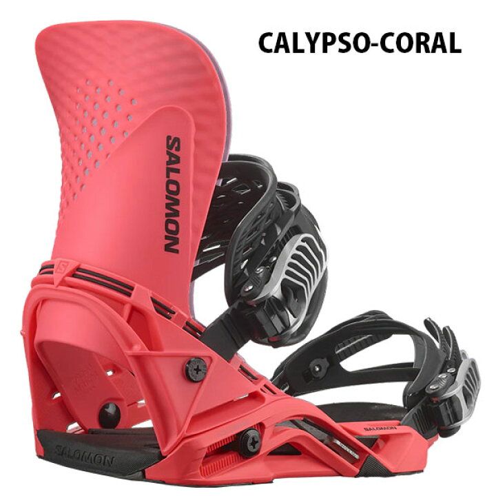 楽天市場】送料無料 SALOMON サロモン バインディング HOLOGRAM  