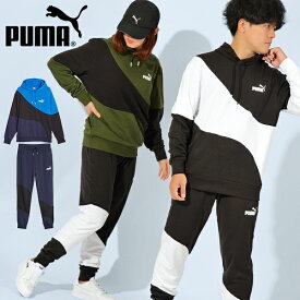 35%off 送料無料 プーマ メンズ レディース スウェット 上下セット PUMA POWER キャット フーディースウェット ロングパンツ 裏毛 上下組 セットアップ スポーツウェア トレーニング ウェア 2023秋冬新色 675746 675667