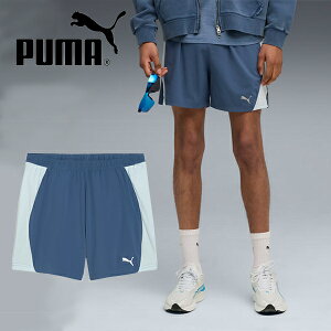  v[} Y jO V[gpc  PUMA RUN VELOCITY 5 V[c Zp X|[cEFA jO WMO }\ g[jO EFA 2025H~VF 527255