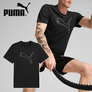 䂤pPbgΉ\Iv[} Y fB[X  TVc PUMA TAD ESSENTIAL HEATHER LOGO TVc rbOS X|[cEFA g[jO EFA W 527343