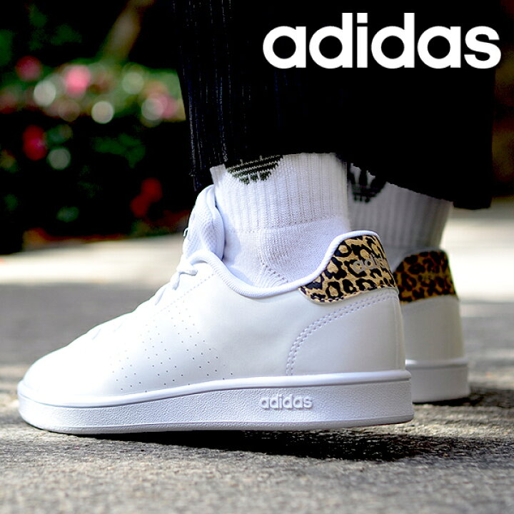 楽天市場 送料無料 ヒョウ柄 アディダス スニーカー Adidas レディース Advancourt K アドバンコート レオパード ローカット カジュアル シューズ 靴 ホワイト 白 Fy75 エレファントｓｐｏｒｔｓ