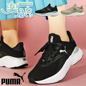 y悠z v[} fB[X  Xj[J[ SnQ ӂӂC\[ PUMA SOFTRIDE Cu EBY [Jbg V[Y C 2025H~VF 310160