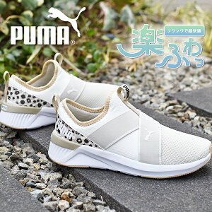 y悠z27%off  qE v[} fB[X Xj[J[ Xb| SnQ ӂӂC\[ PUMA SOFTRIDE n[ XbvnCubh XLY [Jbg V[Y 