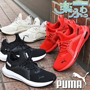 y悠z v[} fB[X Y Xj[J[ SnQ ӂӂC\[ PUMA SOFTRIDE G] 5 [Jbg V[Y C 2025H~VF 311098