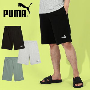 v[} Y n[tpc  PUMA ESS 2 COLOR NO. 1 LOGO SHORTS 10 INCH TR Zp V[gpc X|[cEFA g[jO EFA W 2025tĐV 687706