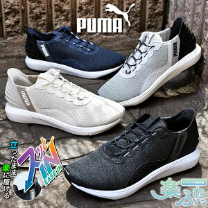 y悠z܂܃XbƗ  v[} fB[X Y Xj[J[ Xb| SnQ ӂӂC\[ PUMA SOFTRIDE N[Y EASE IN C[YC [Jbg V[