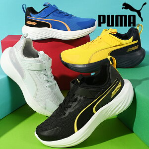 �y���悠��z�������� �v�[�} �L�b�Y �X�j�[�J�[ �q�[����3cm PUMA �X�s�[�h �����X�^�[ V5 �q�� �W���j�A �q���C �j�̎q ���̎q �^���C �x���N�� �S���R �V���[�Y 309935