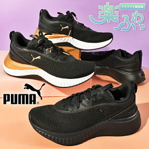 y悠z v[} fB[X Xj[J[ SnQ ӂӂC\[ PUMA SOFTRIDE Z EBY [Jbg V[Y C 2025H~V 311208
