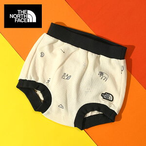 y悠zlR|XIm[XtFCX  V[g pc xr[ LbY q THE NORTH FACE B Latch Pile Short b` pC V[g nbb42282 2025tĐVF