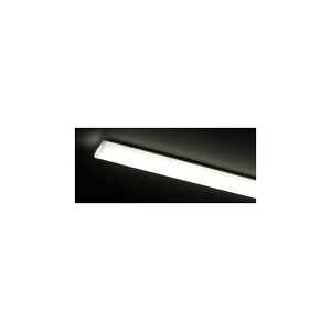 ���Ń��C�e�b�N LED�o�[ TENQOO�V���[�Y 2500���[���� 5000K �J�o�[/�����F LEEM-40253N-01