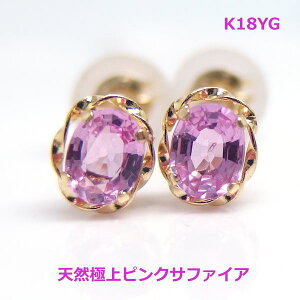 yzK18YGVRsNTt@CAX^bhsAX1808-1