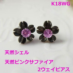 yzsNTt@CAVFt[2EFC7217