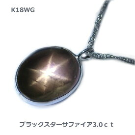 在庫処分！数量限定【送料無料】K18WG製ブラックスターサファイア3ctネックレス■2942