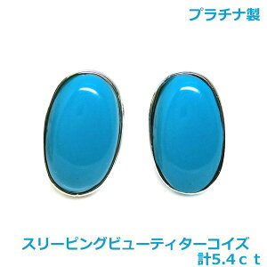 yzv`iX[sOr[eB^[RCY@sAXv5.4ct4209-1