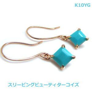 yzK10YGX[sOr[eB^[RCY@tbNsAX779860-220