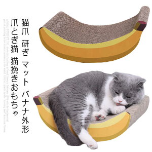 L  }bg oiiO` ܂ƂL L҂ ܂Ƃ΍ ܂Ƃ L ܖ ^sP L ܃pbh Ƌ\t@ی