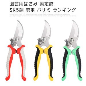  |p͂  SK5|  oT~ LO ʎ  ~͙蓹뉀 ΂ |piCt 荞݂΂