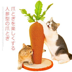 ܂Ƃ lQ jW  Lp܂Ƃ Lbg^[ lC ܂Ƃ ^s XgX Lpi ybgpi