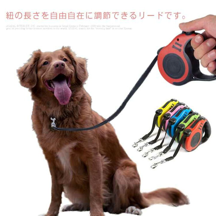 楽天市場 リード 小型犬 中型犬 猫 犬用 長さ5m 伸縮リード テープタイプ コードタイプ 頑丈 ロングリード 伸びるリード 巻き取り お散歩 コンパクト 軽量 送料無料 クラッチバッグ Elevenone 楽天市場 リード 小型犬 中型犬 猫 犬用 長さ5m 伸縮リード テープタイプ コードタイプ 頑丈 ロングリード 伸びるリード 巻き取り お散歩 コンパクト 軽量 送料無料 クラッチバッグ Elevenone