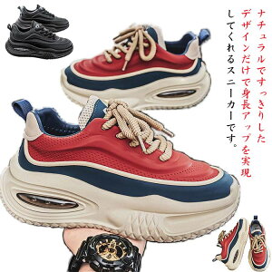  j C Xj[J[ y  YV[Y EH[LOV[Y ₷ Y Xj[J[ _炩 GANbV ɂ Ȃ C ʊw w