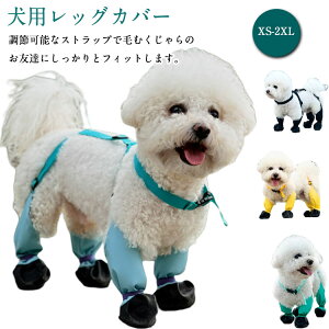 pbOJo[ EȂ TXy_[t Xy_[tppc pu[c  EȂ Ol{pc  ߉\ h ~ h~ ~J ی pbOJo