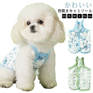   ^ L~\[ wJ p  hbOEFA ₷ h~ 悯 t  wJL~\[ o m TT 킢 hbOEFA ybg