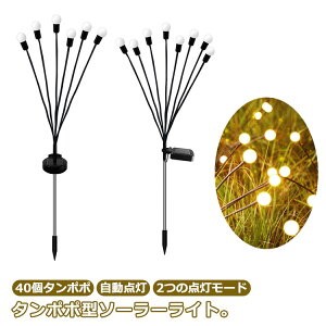 LED 40個タンポポ 庭 ライト 屋外 照明 おしゃれ 防水 ガーデン ガーデンライト 室外 埋め込み 電球色 明るい ソーラー 防犯 太陽光 自動点灯 ソーラーガーデンライト ガーデニング 雑貨 北欧