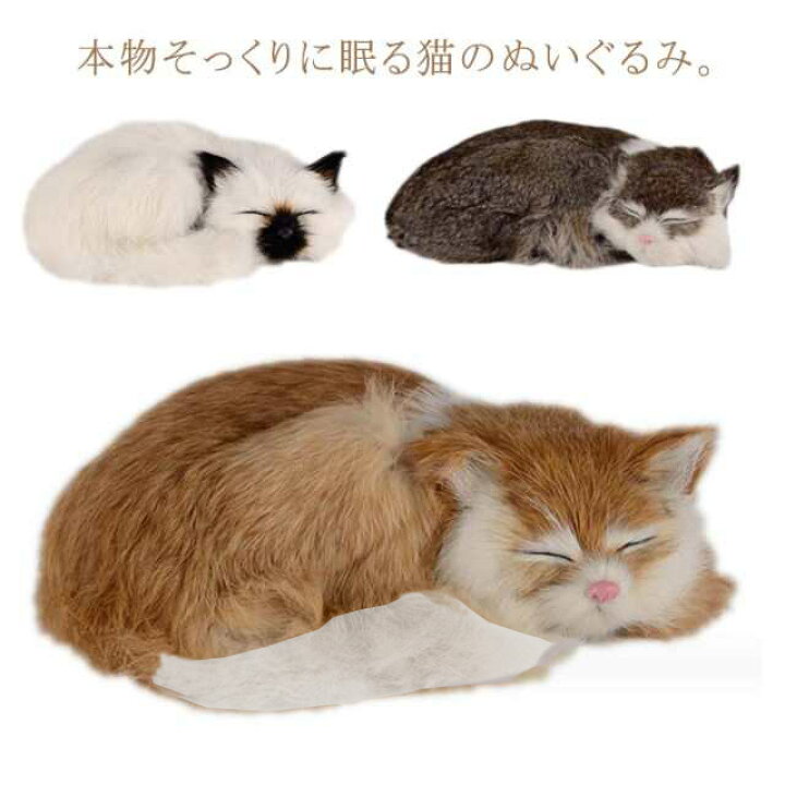 楽天市場】ねこ ぬいぐるみ リアル 本物 そっくり 猫 ペット ペット 