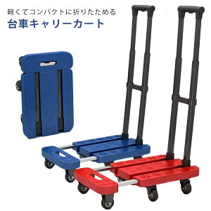 RpNgL[  ܂肽 y LX^[t É ^ LknhŏoȂ ω׏d100KG 6 L[J[g 360x] 艟 ItBX z ƒp Ɩp t