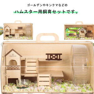  P[W nX^[ nX^[pP[W AN 傫 ^т₷ |₷ ʋC P[W P[W K ybgnEX  P[W AN ybg P[W 