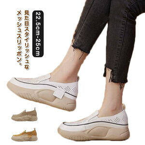 bV C\[t fB[X  Ȑ JWA y _炩 ӂƌy \[ RtH[g Xj[J[ NbV Xb| Xj[J[  ʋC [J