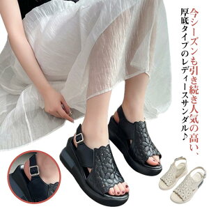  ɂȂ fB[X y X|[cT_ ₷ r[`T_ EFbW\[ C T_ T_ T_ RtH[g  C xN Xj[J[ X|