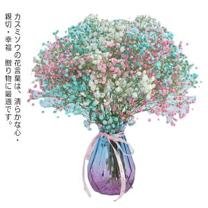 かすみ草 プリザーブドフラワーの人気商品 通販 価格比較 価格 Com