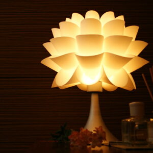 e[uv BKT002 ie[uX^h e[uCg ԐڏƖ LED X^h fUC CeA  k _CjO Q ցj