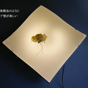 V[OCg HLZKC002 LED  ROi߁i VƖ ԐڏƖ LED  fUC CeA k@rO@Q@Ɩ@8@6 j