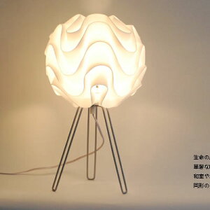 e[uCg JK101 i e[uX^h e[uCg ԐڏƖ LED X^h fUC CeA  k _CjO Q  j