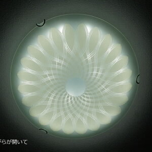 LEDV[OCg XXKC001  ROi (ԐڏƖ y_gCg CeACg VƖ k )