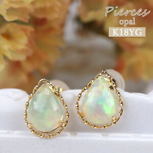 18 sAX Ip[ 10a AM[ Ή hbv K18 yg VR fB[X  ۏ؏t { dp