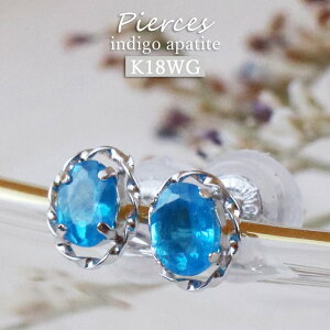 18 sAX zCgS[h CfBSAp^Cg Vv  20 30 40 50 fB[X K18  Ԃ a v[g ؚ ʊw ʋ g VR 18K sAX 